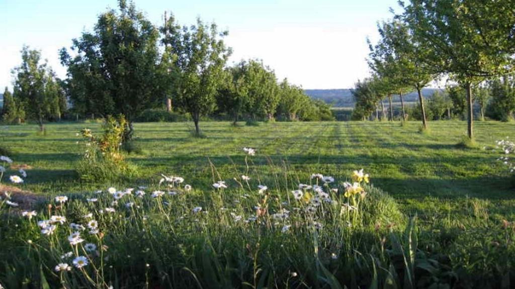 Bed and Breakfast Le Mont D'Auge Canapville  Exteriér fotografie