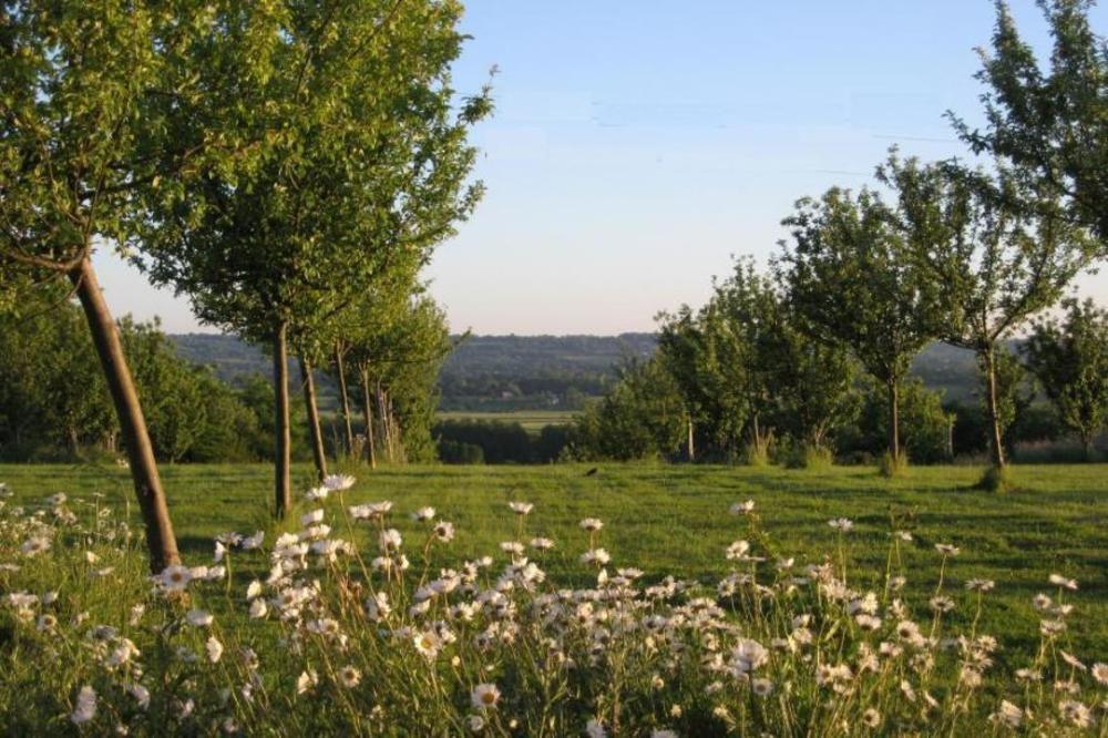 Bed and Breakfast Le Mont D'Auge Canapville  Exteriér fotografie